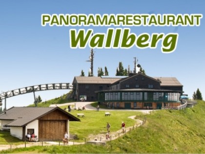 Фото: Wallberg